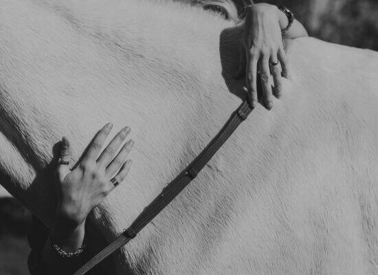 A black and white photo of a woman’s hands gently hugging the neck of a horse, capturing a moment of tenderness and connection.