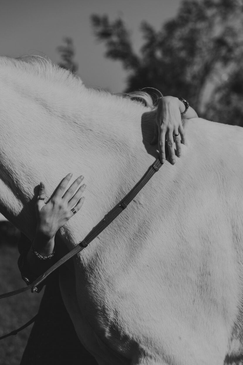 A black and white photo of a woman’s hands gently hugging the neck of a horse, capturing a moment of tenderness and connection.